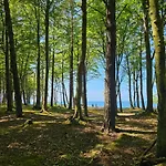 11b Niebieskie Z Basenem Krytym, Odkrytym, Sala Zabaw, Animacjami Poddąbie