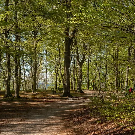 11b Niebieskie Z Basenem Krytym, Odkrytym, Sala Zabaw, Animacjami Appartement *