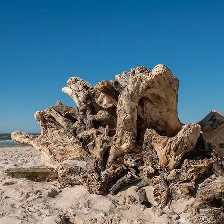 11b Niebieskie Z Basenem Krytym, Odkrytym, Sala Zabaw, Animacjami Appartement