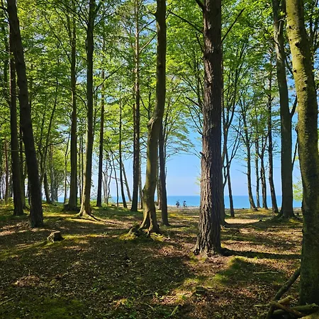 11b Niebieskie Z Basenem Krytym, Odkrytym, Sala Zabaw, Animacjami Poddąbie