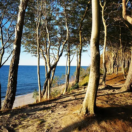 11b Niebieskie Z Basenem Krytym, Odkrytym, Sala Zabaw, Animacjami Appartement *