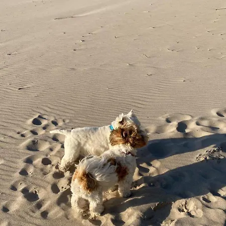 11b Niebieskie Z Basenem Krytym, Odkrytym, Sala Zabaw, Animacjami * Poddąbie