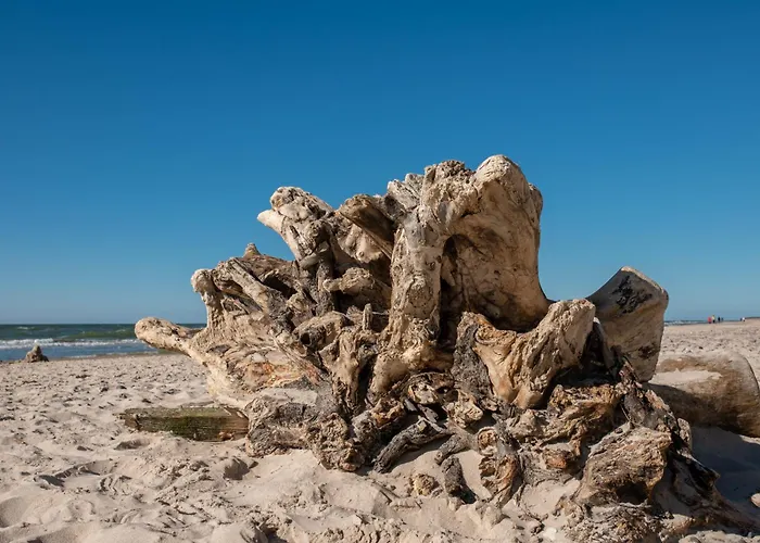 11b Niebieskie Z Basenem Krytym, Odkrytym, Sala Zabaw, Animacjami Lägenhet