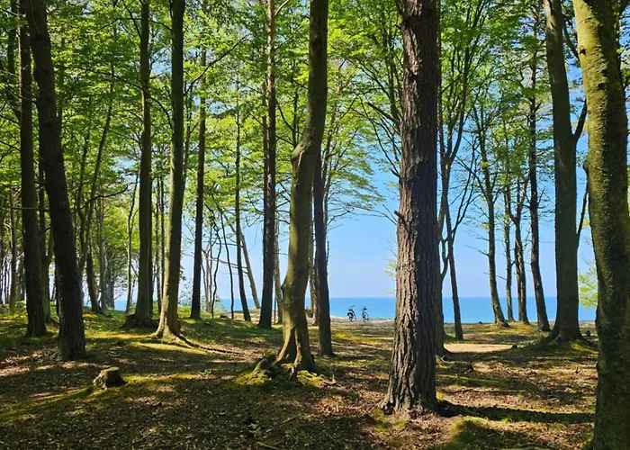 11b Niebieskie Z Basenem Krytym, Odkrytym, Sala Zabaw, Animacjami Poddąbie