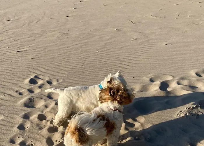 11b Niebieskie Z Basenem Krytym, Odkrytym, Sala Zabaw, Animacjami * Poddąbie